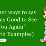30 Other Ways to Say 'It Was Good to See You Again' (With Examples)