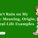Don’t Rain on My Parade: Meaning, Origin, and Real-Life Examples
