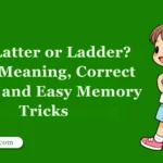 Is It Latter or Ladder? Clear Meaning, Correct Usage, and Easy Memory Tricks