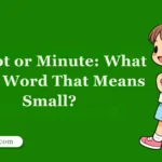 Minoot or Minute: What Is the Word That Means Small?