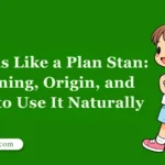Sounds Like a Plan Stan: Meaning and Origin