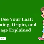 To Use Your Loaf:Meaning, Origin, and Usage Explained