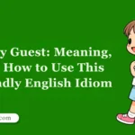 Be My Guest: Meaning, and How to Use This Friendly English Idiom