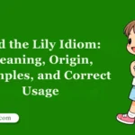 Gild the Lily Idiom: Meaning, Origin, Examples, and Correct Usage