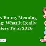 Snow Bunny Meaning Slang: What It Really Refers To in 2026