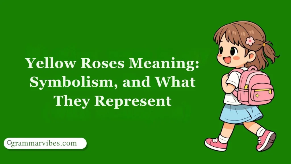 Yellow Roses Meaning: Symbolism, and What They Represent