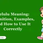 Delulu Meaning