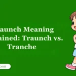Traunch Meaning Explained: Traunch vs. Tranche 