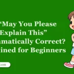 Is “May You Please Explain This” Grammatically Correct? Explained for Beginners