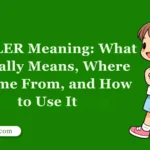 RIZZLER Meaning: What It Really Means, Where It Came From, and How to Use It