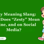 Zesty Meaning Slang: What Does “Zesty” Mean Online, and on Social Media?